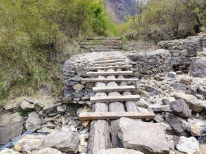 A rustic wooden bridge spans a rocky stream in a lush, green forest. 