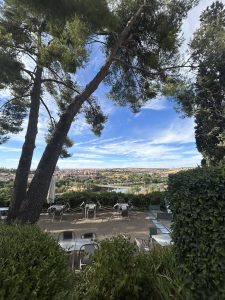 A panoramic view of a serene outdoor setting, featuring tall pine trees with lush green foliage. In the foreground, there's a patio area with metal chairs and tables arranged on a sandy ground.
