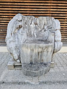 A unique chair carved from a large tree trunk shows beautiful natural wood patterns and textures. This creative wooden artwork was photographed at the Zugerberg in Switzerland.