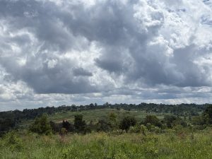
A panoramic view of a lush, green landscape under a partly cloudy sky