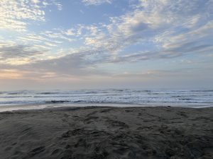 \


A serene Toyomi Coast beach scene at dawn, featuring gentle waves lapping at the shore. 