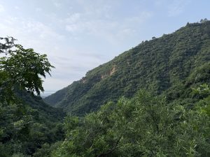 A scenic view of a lush, green valley flanked by steep mountains on either side. The landscape is dense with trees and vegetation, with a bright, partly cloudy sky above.