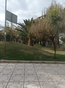 A quiet park with a stone-tiled path in the foreground, surrounded by green grass and trees including palm trees, under a cloudy sky.