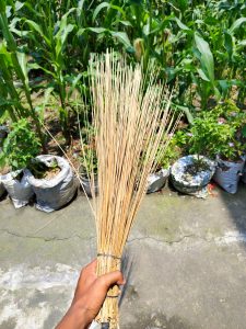 A hand holds a bundle of thin, dry sticks tied together with wire on a concrete path. Behind are plants in bags, with tall green corn stalks visible.