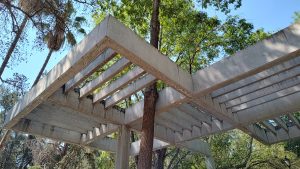 A low-angle view of a concrete pergola with a tree growing through its parallel beams. The gray concrete contrasts with the green foliage and clear blue sky in the background.