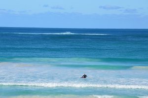 A person (Australian Surfer) in a black wetsuit is standing in shallow water at the beach, holding a surfboard. The ocean has a mix of blue and turquoise tones, and gentle waves are rolling in towards the shore. A clear sky with a few clouds is visible in the background.
