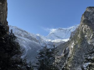 Snow-capped mountains under a clear blue sky, framed by rocky cliffs and tall evergreen trees