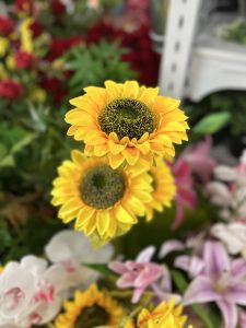 A close-up view of two bright yellow sunflowers with large, round dark centers, surrounded by soft green foliage. In the background, there are hints of red flowers and lighter pink orchids, creating a vibrant and colorful floral arrangement. The overall effect is cheerful and inviting, with the sunflowers standing out prominently in the foreground.