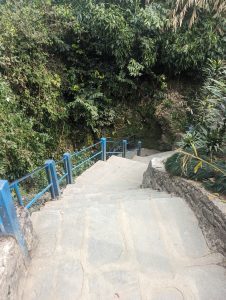 Stone steps descend with a blue railing, surrounded by lush green foliage.