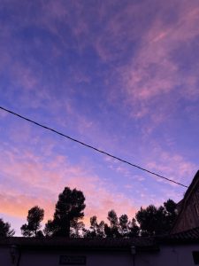 Sunset sky with blending purple and pink hues, soft clouds, and silhouettes of tall trees with a thin wire crossing the frame.
