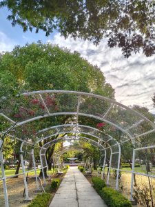 An elegant pathway covered by white arches and surrounded by trees and flowers creates a harmonious and peaceful view, illuminated by soft daylight beneath a cloud-filled sky.