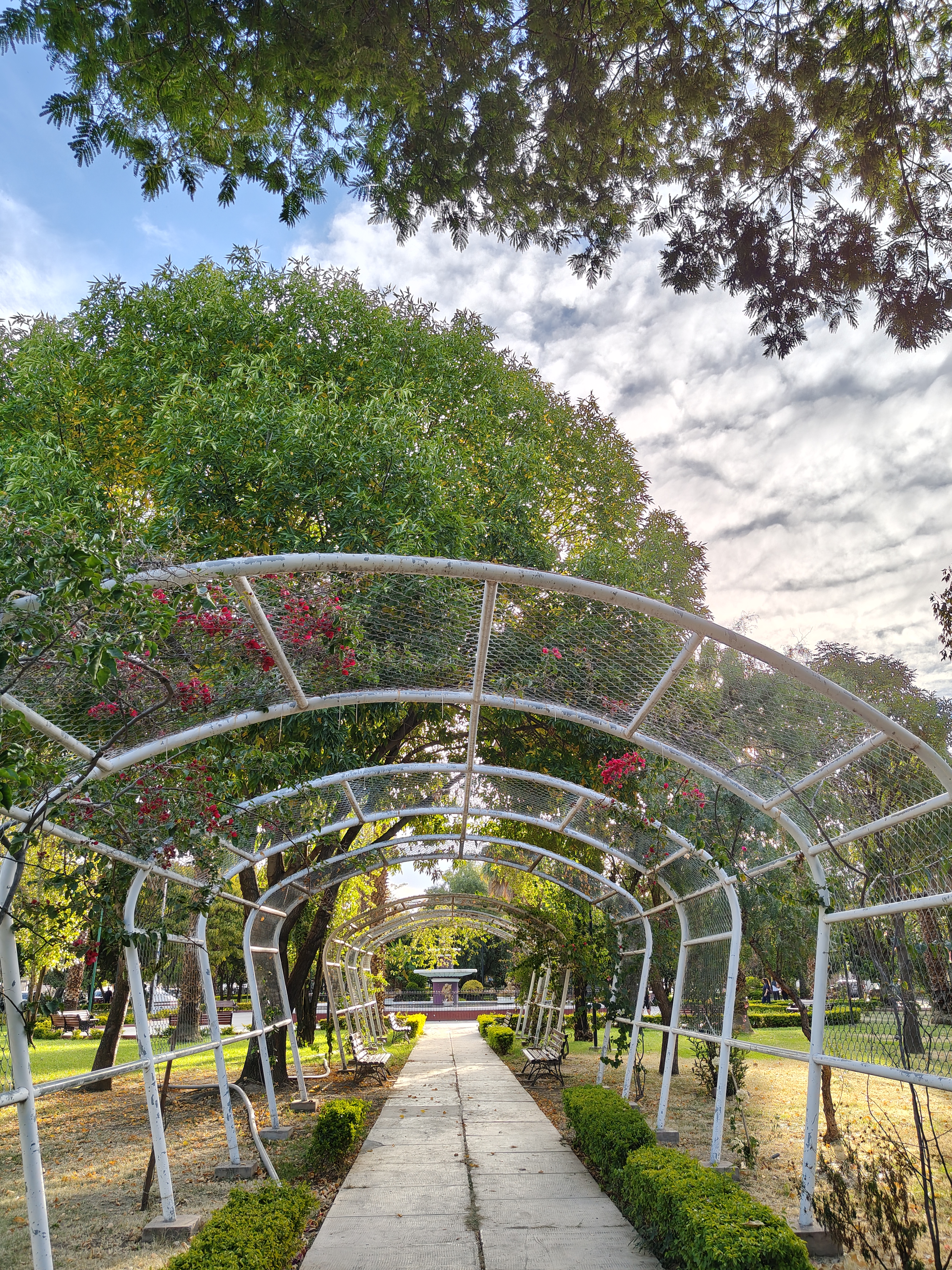 An elegant pathway covered by white arches and surrounded by trees and flowers creates a harmonious and peaceful view, illuminated by soft daylight beneath a cloud-filled sky.