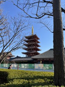 A five-story Japanese pagoda with a golden spire, seen through tree branches under a clear blue sky.