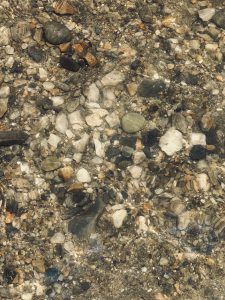 A close-up of colorful pebbles submerged in clear water.