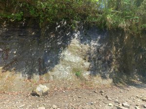 A natural rock wall with vegetation and sunlight shadows at Chibanian Formation.