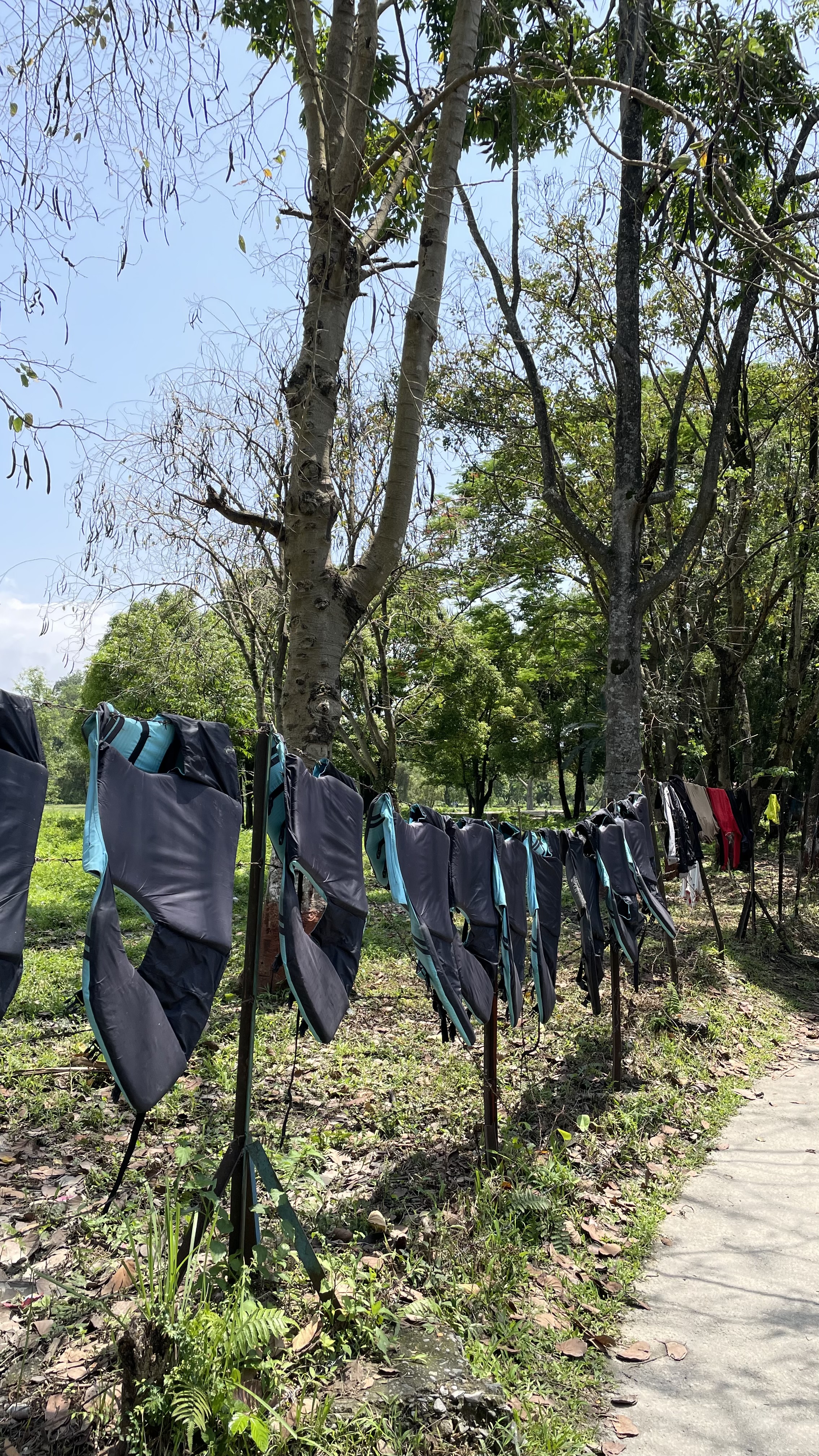 A ≈ hanging on a clothesline in a park surrounded by greenery.