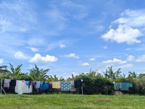 Clothes hang on a line under a bright blue sky with puffy clouds, with lush greenery and banana trees in the background.