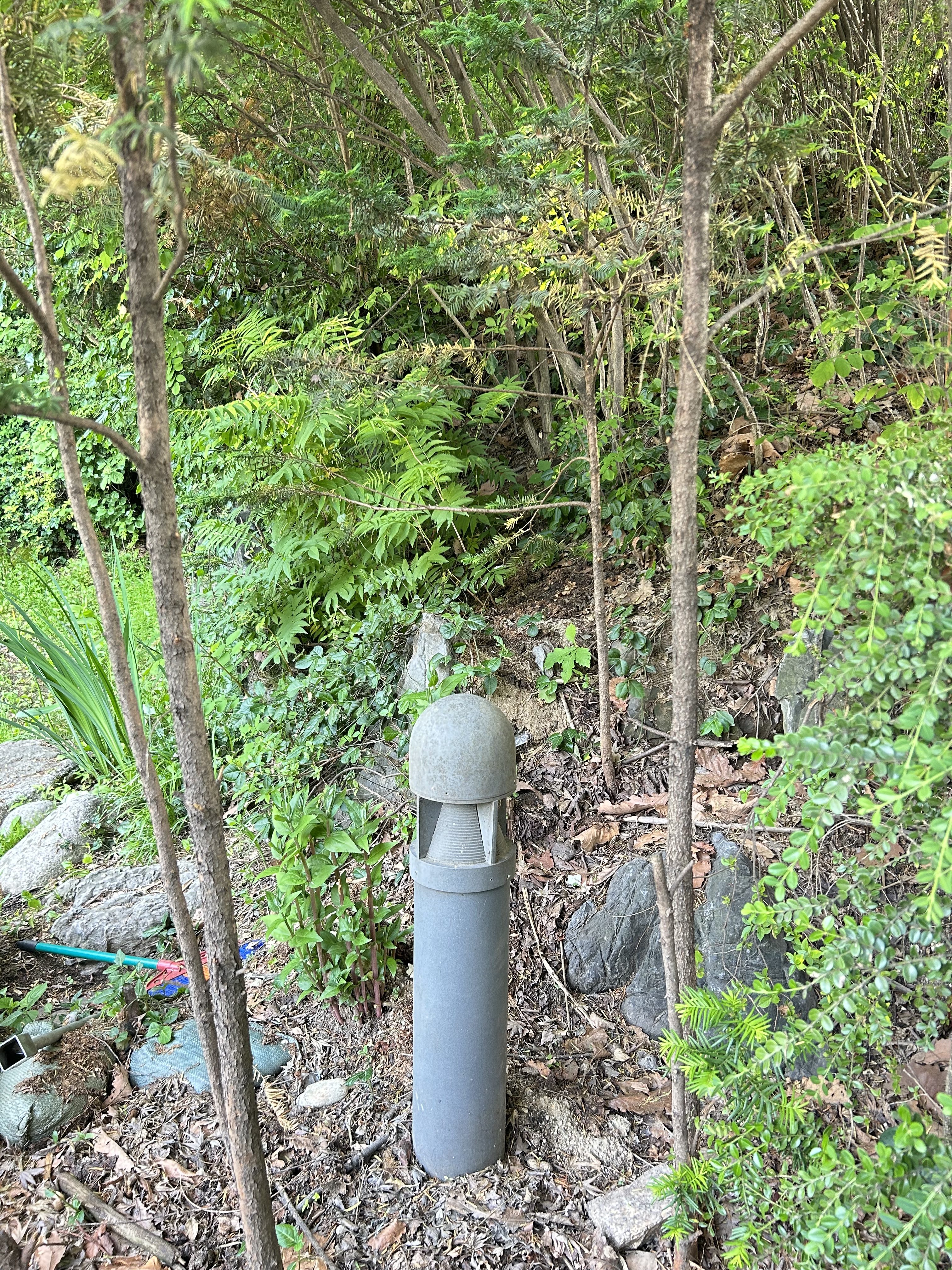 A cylindrical outdoor light fixture among dense green foliage on a rocky leaf-covered forest floor, creating a serene forest ambiance.