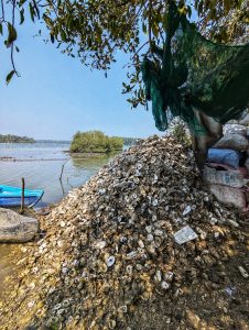 
A large pile of discarded oyster shells is situated by the water's edge, framed by overhanging branches.