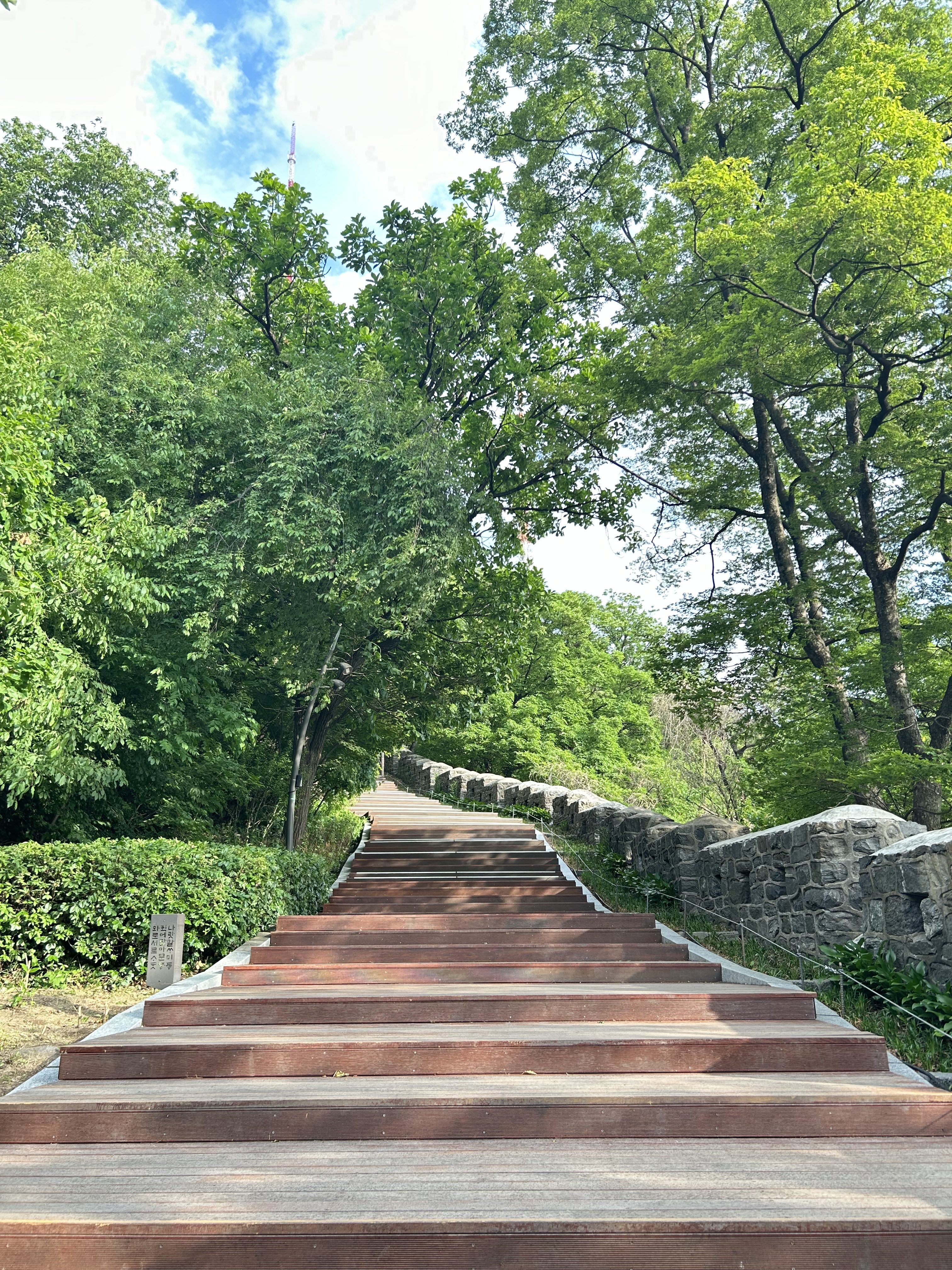 A wooden staircase leads upward, bordered by lush greenery on both sides. The steps are broad and evenly spaced, rising gently toward a pathway that disappears into the dense foliage of trees overhead.