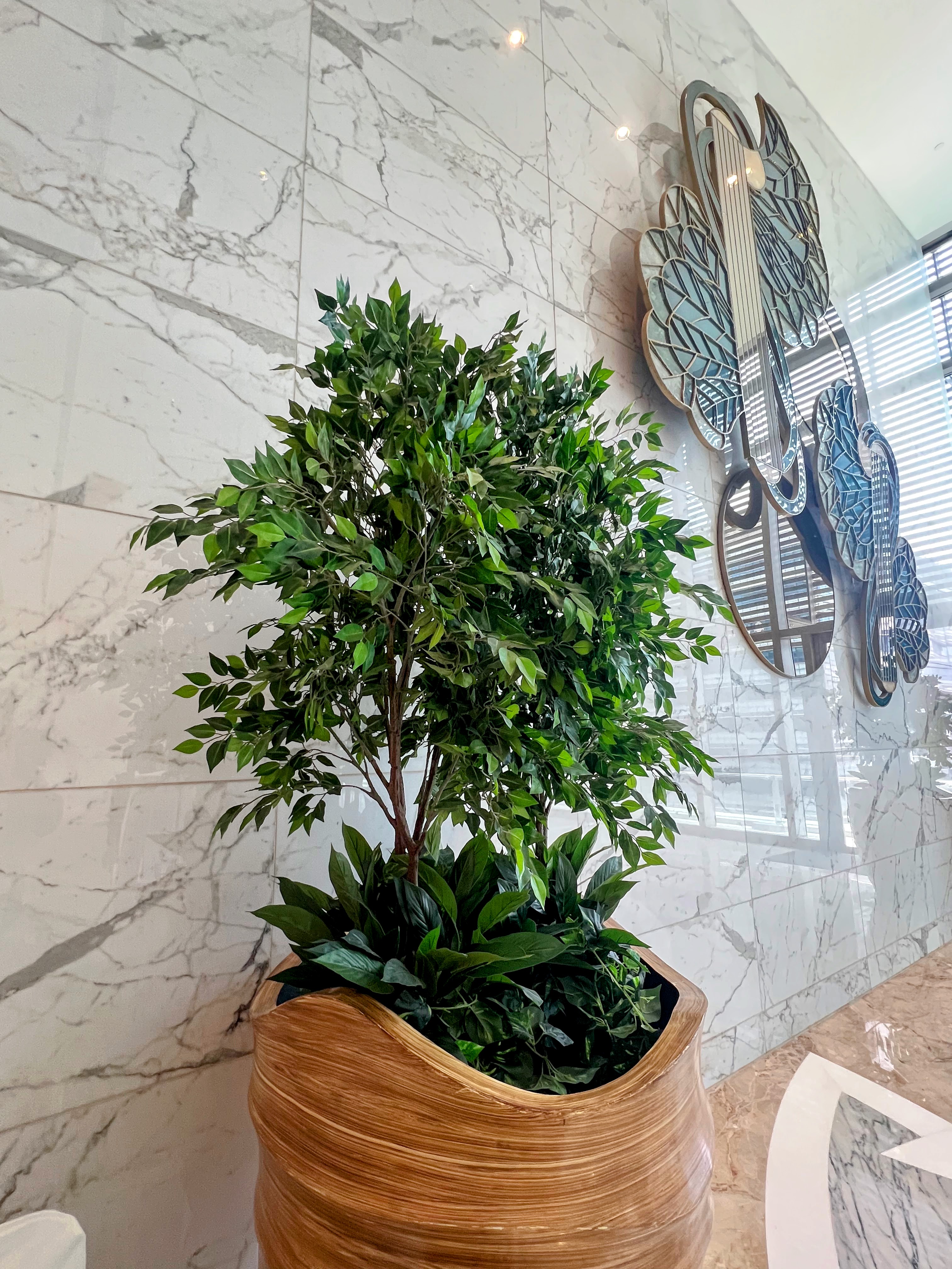 A leafy green indoor plant in a wavy wooden planter against a white marble wall with modern art.