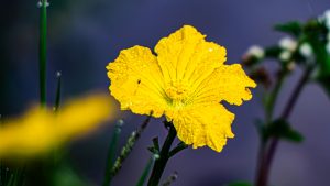 8226a0d953
