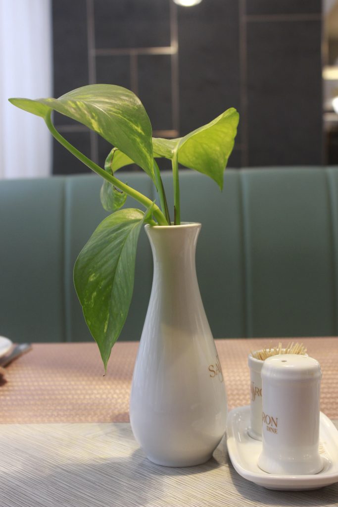 A white ceramic vase with a plant on a restaurant table next to a toothpick holder and salt shaker, with green seats and dark tiled walls in the background.