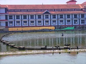 A serene pond with birds on a low stone wall in front of a large building with red roofs and white walls