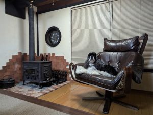 A black and white American Cocker Spaniel relaxing on a comfortable brown leather armchair next to a classic wood-burning stove.