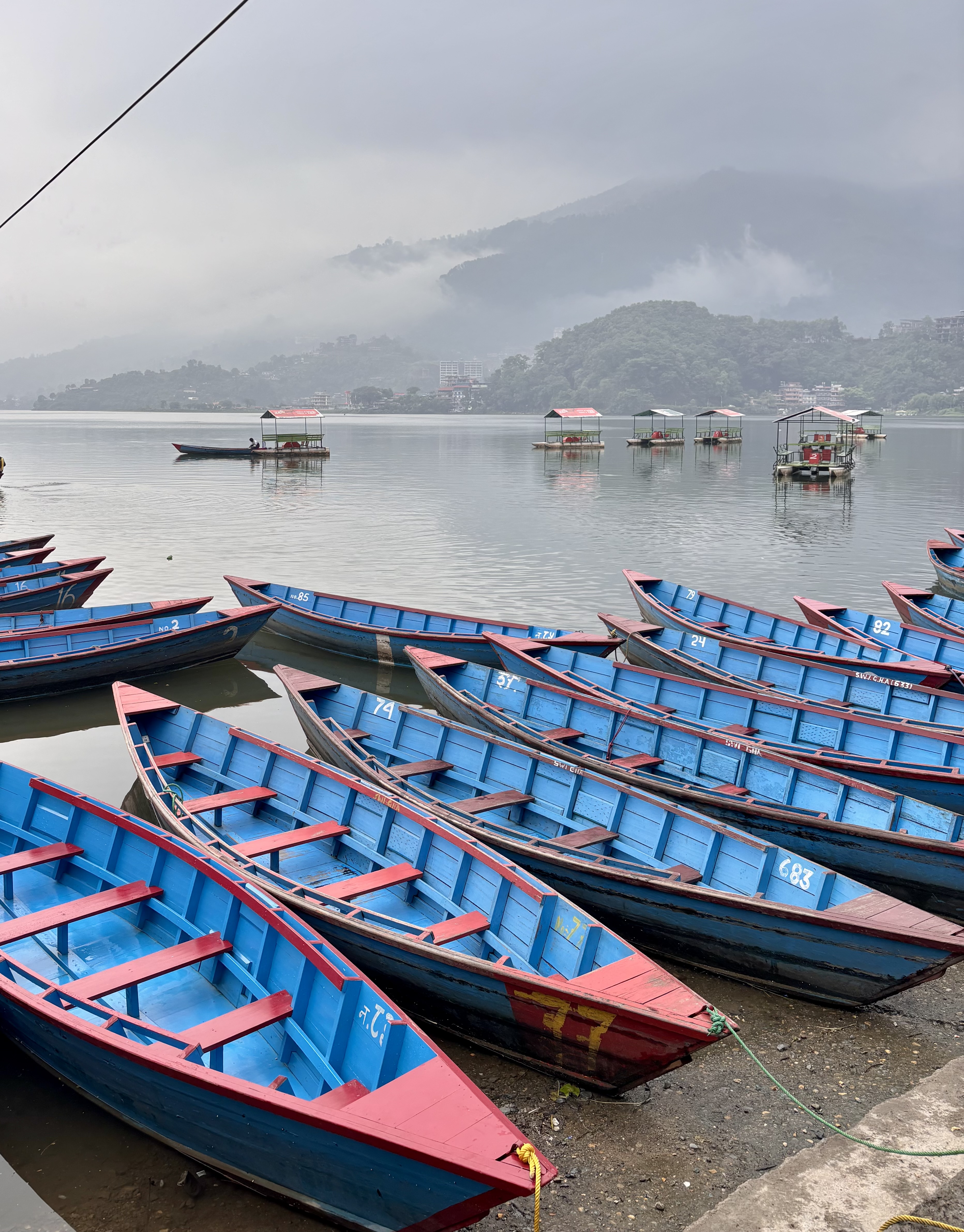 A peaceful Fewa lake scene with several colorful blue and red wooden boats docked at the shore.