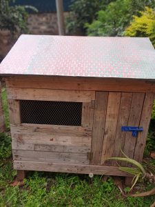 A wooden dog house with a mesh window, blue latch, and patterned roof standing on grass.