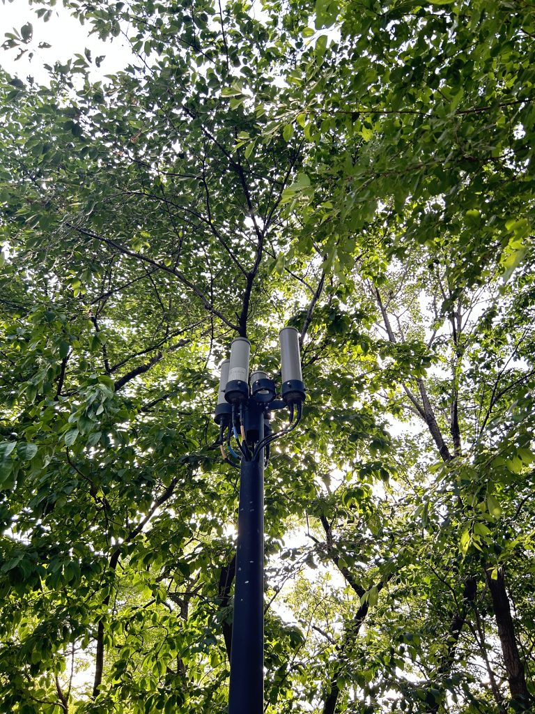 A tall black streetlight with three white cylindrical fixtures is surrounded by lush green trees.