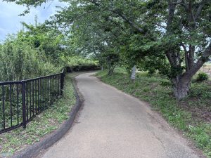 A serene walking trail lined with lush green trees and a black metal fence creates a peaceful atmosphere at Tomita Satomura Park.