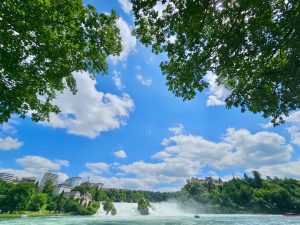 The powerful Rhine Falls flows beneath a bright blue sky framed by tall green trees and soft white clouds. The wide-angle view beautifully captures the Rhine Falls, Switzerland.