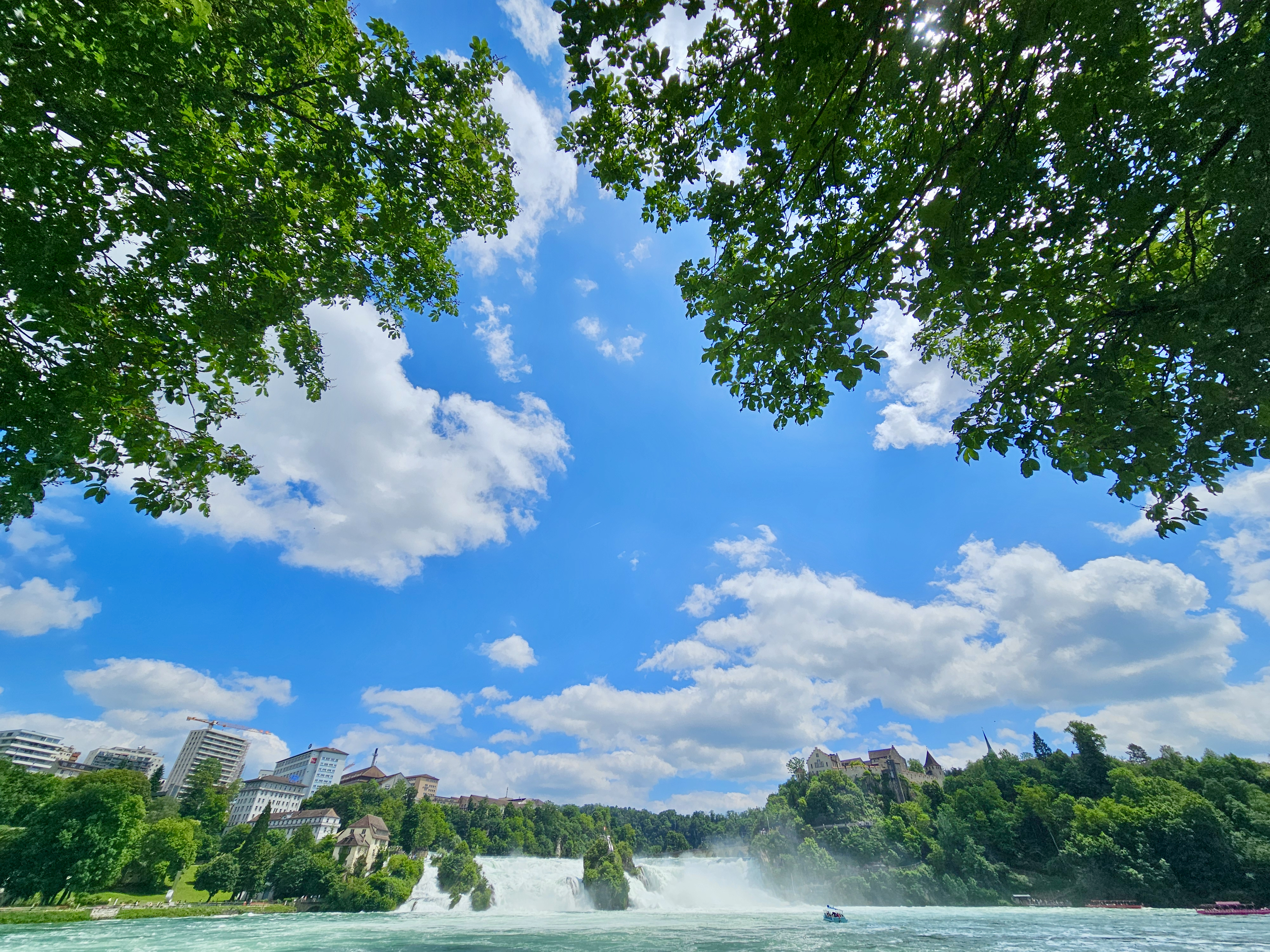 The powerful Rhine Falls flows beneath a bright blue sky framed by tall green trees and soft white clouds. The wide-angle view beautifully captures the Rhine Falls, Switzerland.