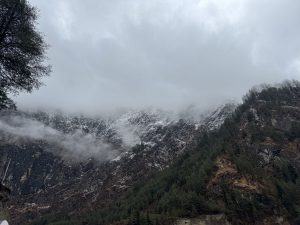Snow-dusted mountains shrouded in mist under a cloudy sky, with dense green pine trees on the slopes, creating a serene and mysterious atmosphere.