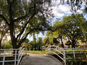 A small white bridge crosses a peaceful park surrounded by tall trees and lush vegetation, while sunlight creates a warm and serene atmosphere within the urban landscape.