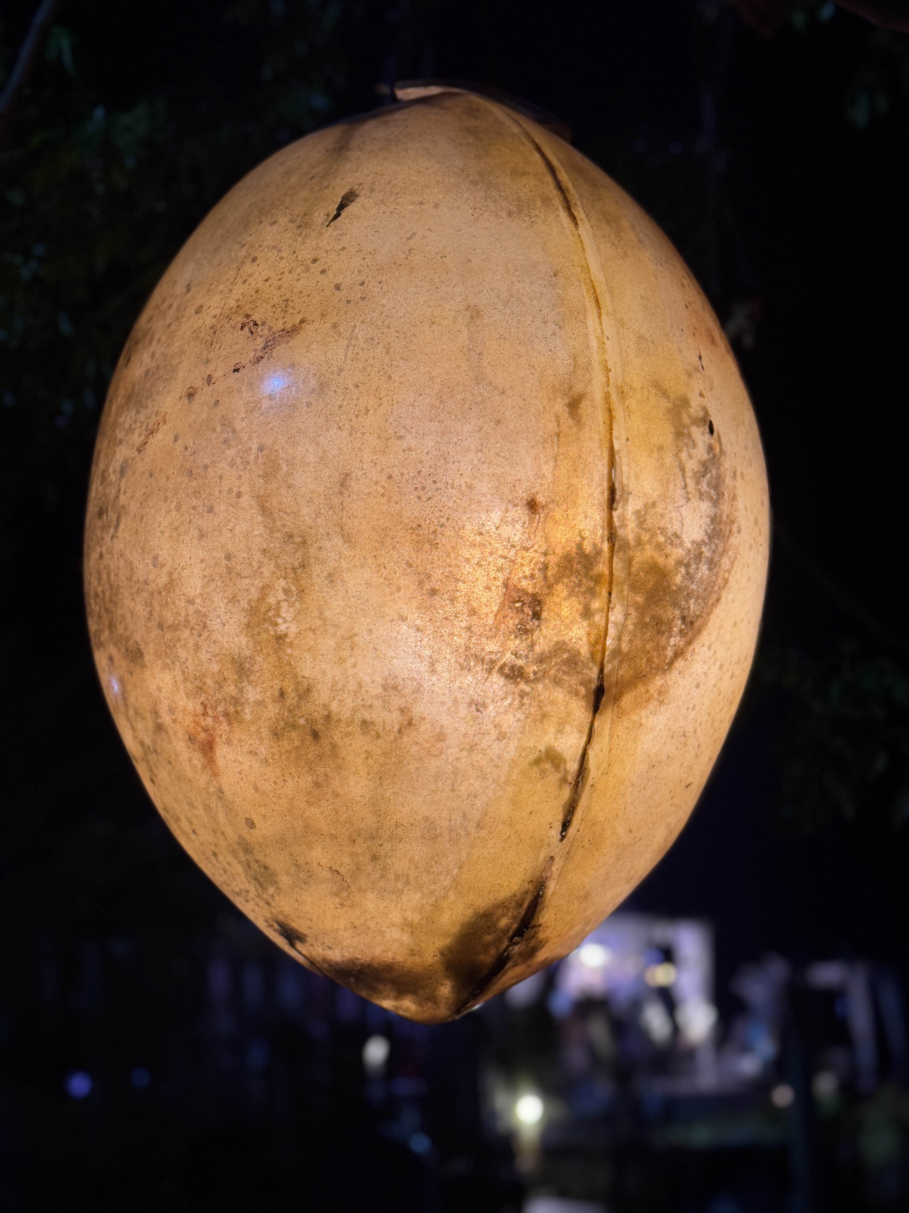 A cracked, oval textured, probably lantern glows warmly against a dark, softly lit outdoor background.