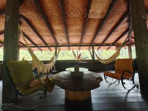 A rustic cozy space with hammocks and hanging chairs is surrounded by nature, creating a warm and peaceful atmosphere for relaxation.
