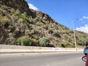 The road stretches alongside a rocky hillside covered with shrubs and cacti beneath a deep blue sky that conveys warmth and openness. The scene blends arid nature with urban movement, like a journey cutting through the mountains. A small portion of the car on the road is visible.