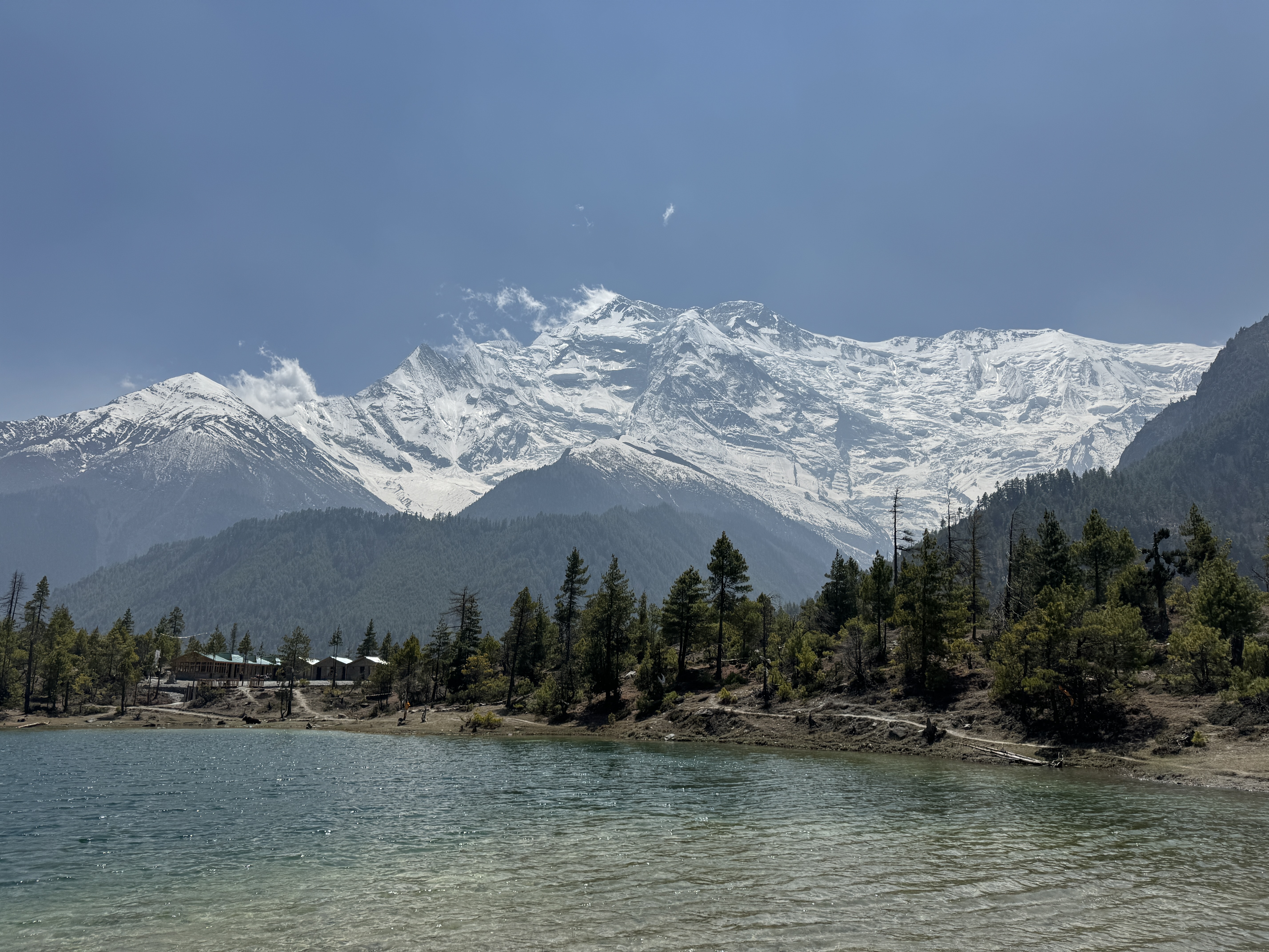 Green Lake in the Manang District, showing rippling blue-green water and a pine forest shoreline backed by massive snow-covered mountain ridges under a clear sky.