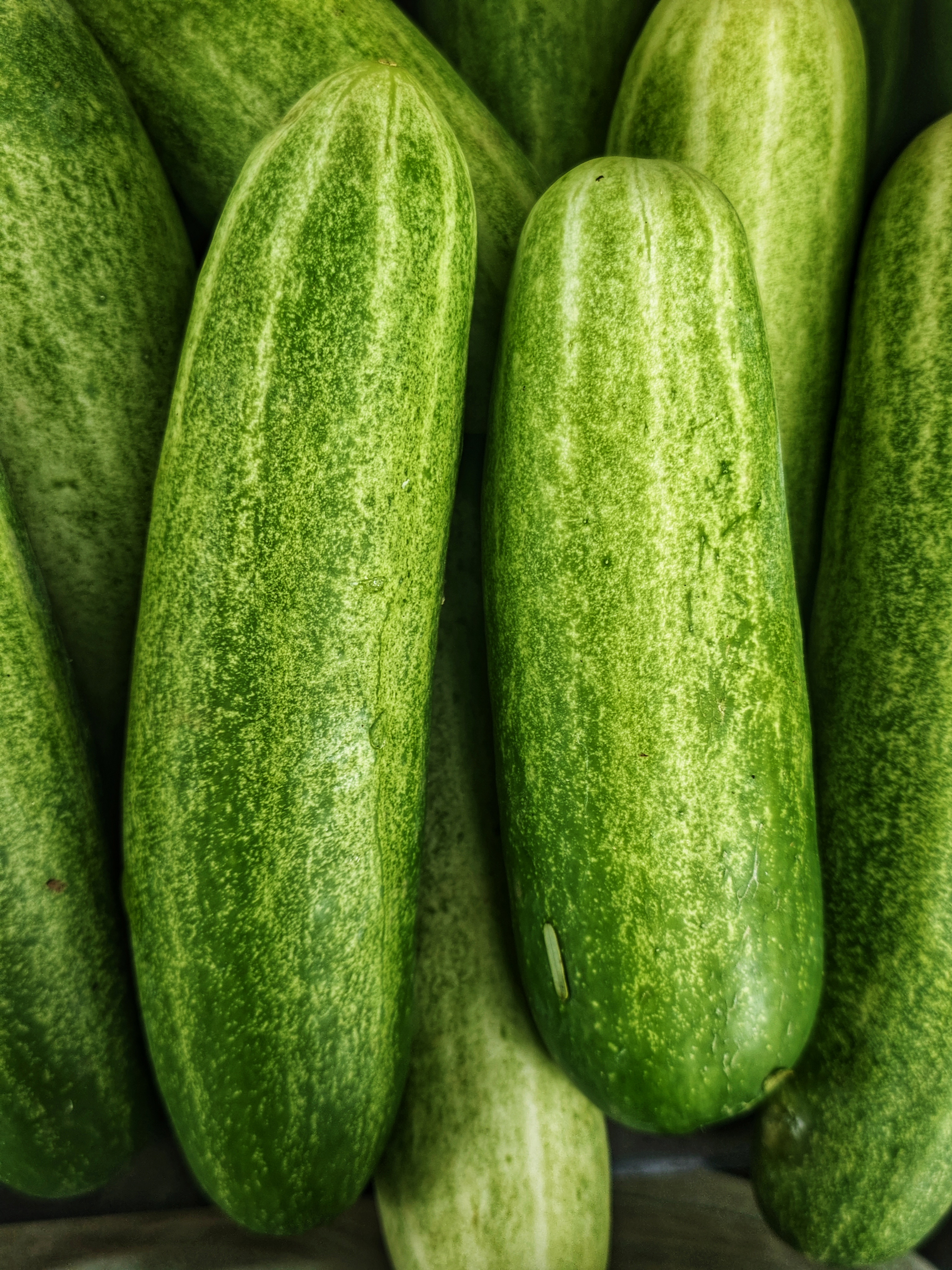 A close-up photo of several fresh cucumbers, characterized by their smooth, dark green skin and elongated shapes, arranged closely together.