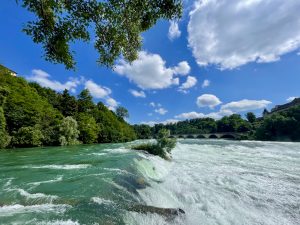 The strong turquoise water rushes over the rocks under a bright blue sky with white clouds. Trees and a historic bridge add beauty to this amazing natural view near Rhine Falls, Switzerland.