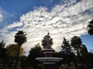 A decorative park fountain with a sculpture is surrounded by palm trees and greenery under a bright, cloudy sky.