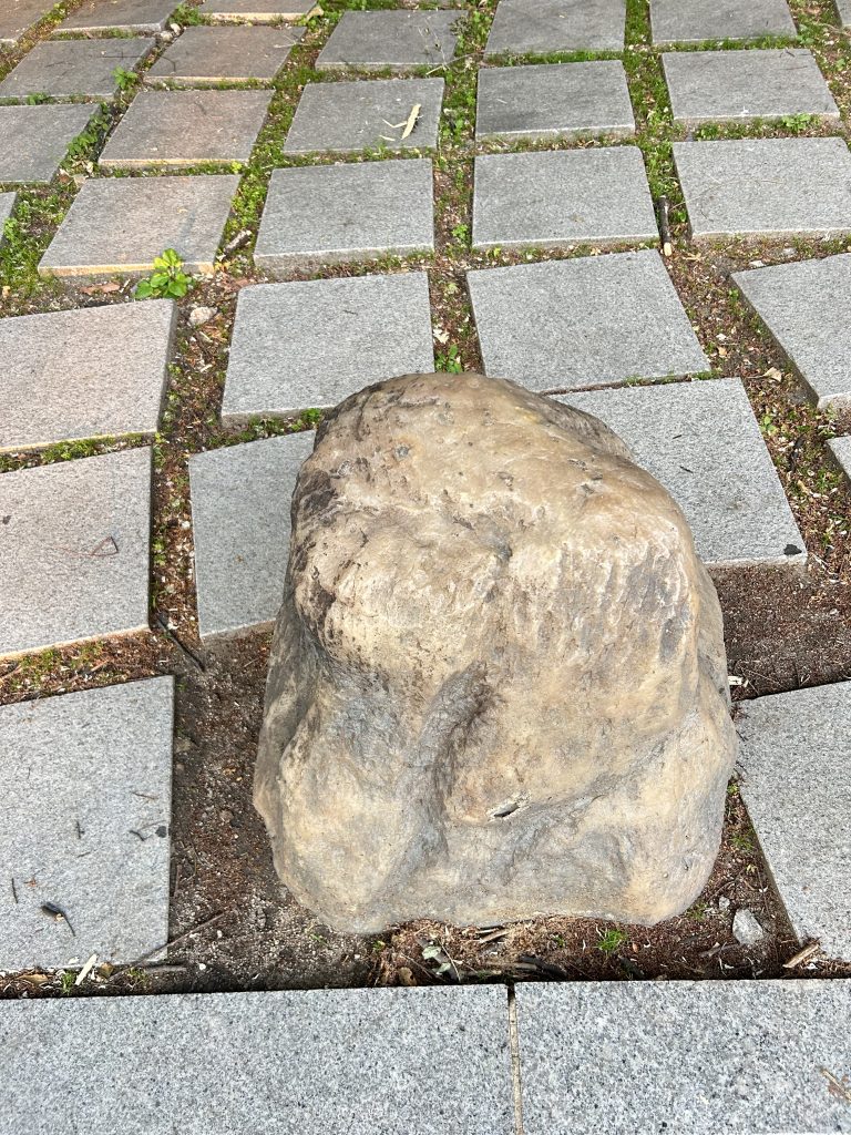A large, textured rock sits on a grid of gray stone tiles. Small patches of green moss and soil surround the rock, adding natural contrast.