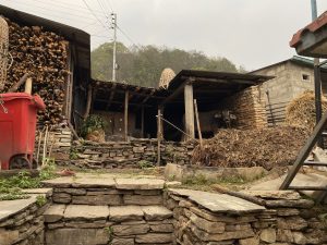 A traditional rural Nepali farmyard with stone steps a buffalo in a wooden shed stacked firewood and haystacks under an overcast sky.