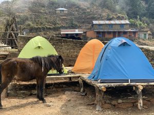 Three colorful tents set on wooden platforms with a brown horse standing nearby in a mountain village.