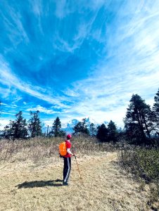 Hiker with trekking pole facing snow-capped Himalayan peaks under blue sky. 