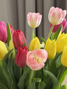 A vibrant bouquet of pink, red, and yellow tulips with lush green stems and leaves
