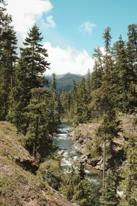 View of a creek flowing through a forest on either side with a mountain in the distance in Leavenworth, Washington, USA.